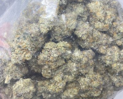ANIMAL COOKIES (EXOTIC) - Image 4